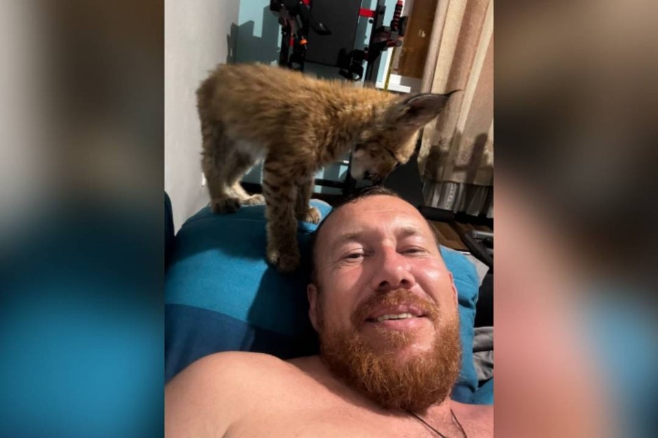    Александру даже удалось приучить дикого котенка к лотку. Фото: из личного архива героев публикации