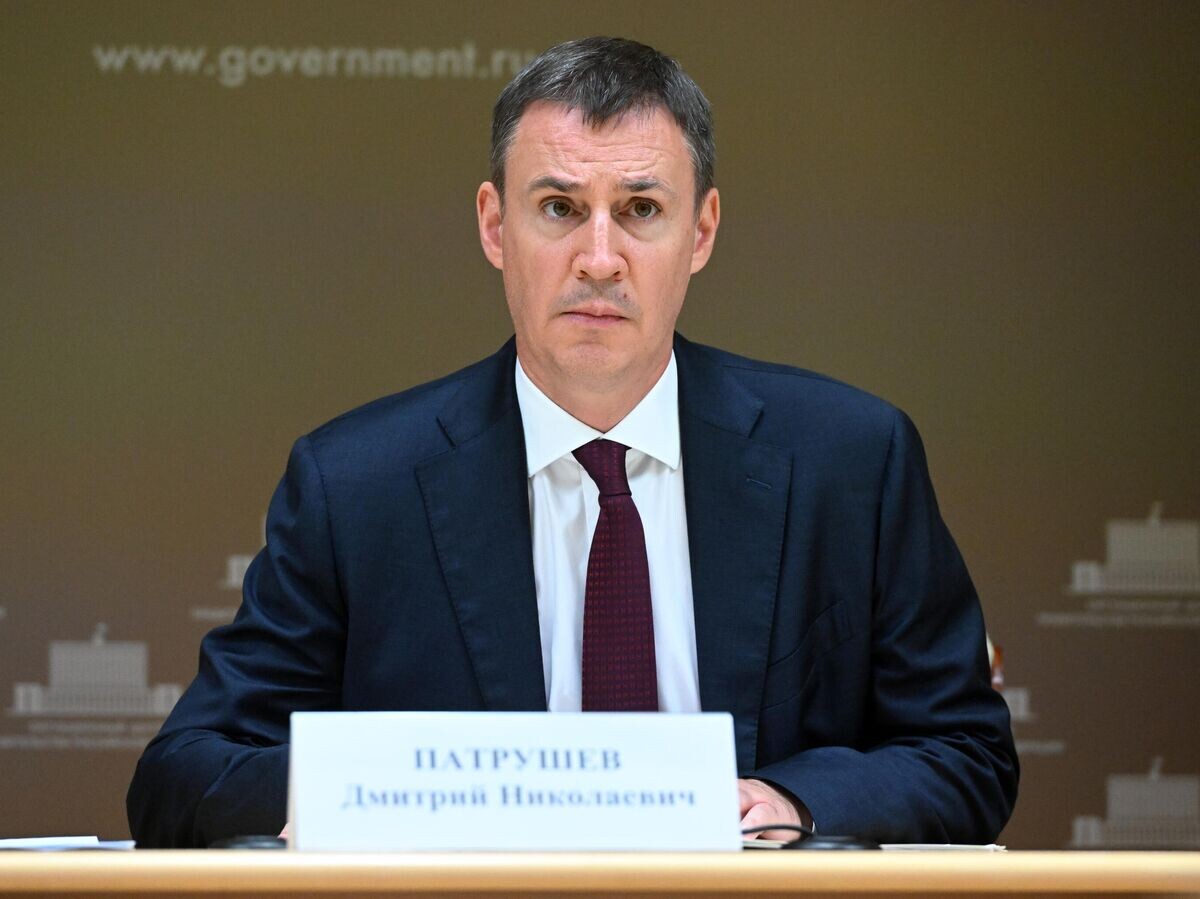    Заместитель председателя правительства РФ Дмитрий Патрушев проводит заседание противоэпизоотической комиссии© РИА Новости / Кирилл Каллиников