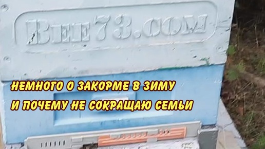 пчеловодство, немного о закорме в зиму и почему бессмысленно сокращать семьи