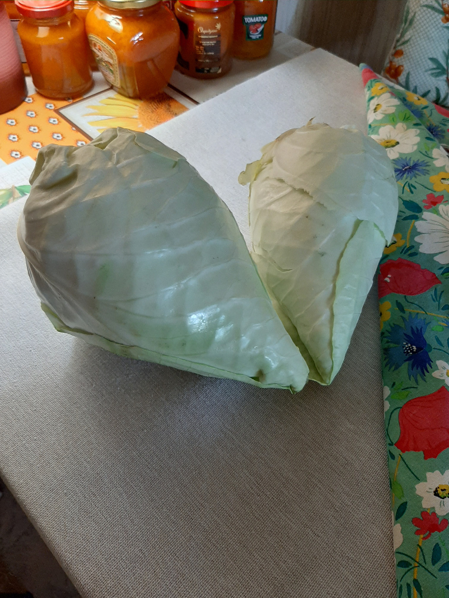 Редженси F1 и Сонсма F1