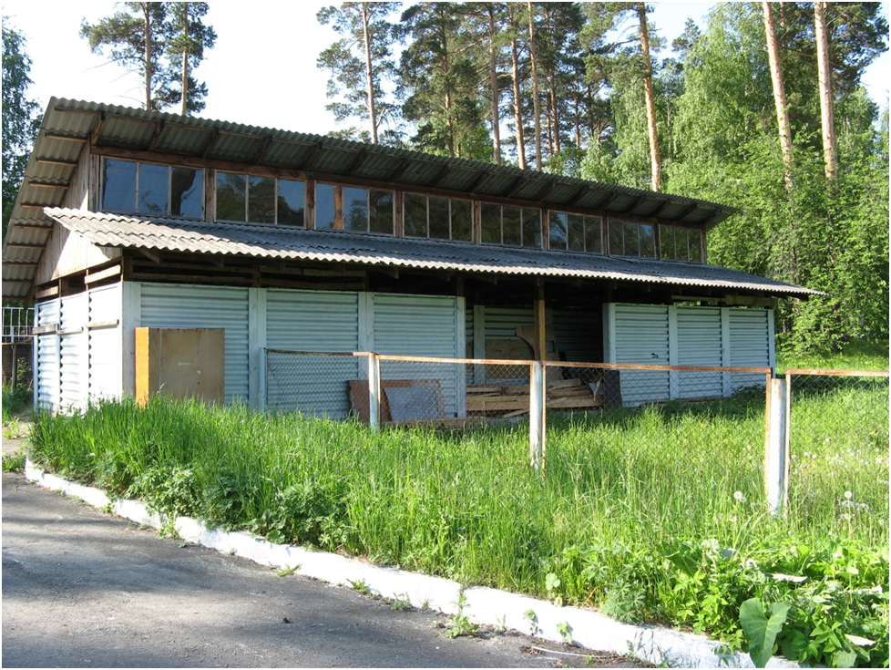 Раздевалки и душевые кабины бассейна. Эдд перестроил их в мастерскую кружка "Сучкопластика".                                                                                                                    Фото автора.