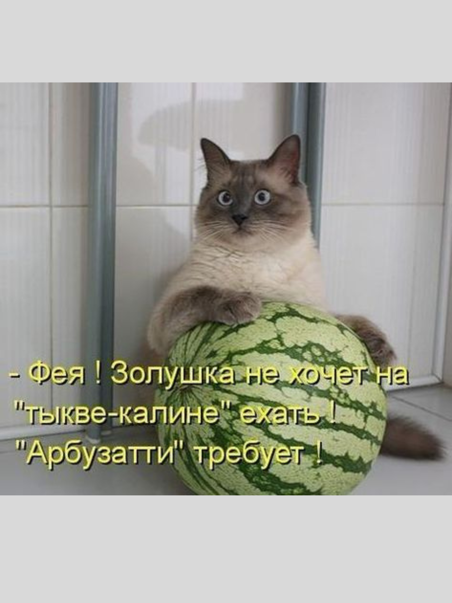 Не знаю да или нет