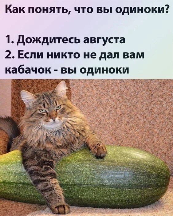 scale_1200