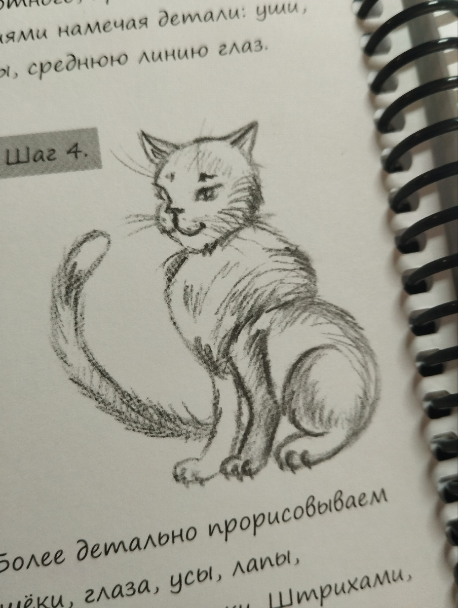 Картинка из тетради 'рисуй легко!'