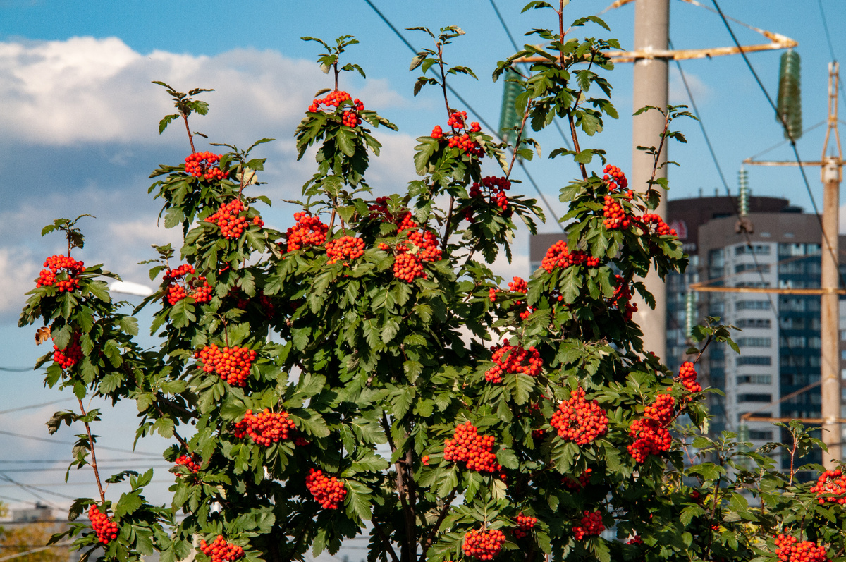 Svetlana Vozmilova/Global Look Press