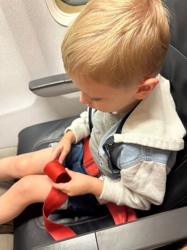 Boeing 737-800, рейс TK 3951, авиакомпания Turkish Airlines, из еды: бутерброд с ветчиной, помидоркой, сыром и зеленью