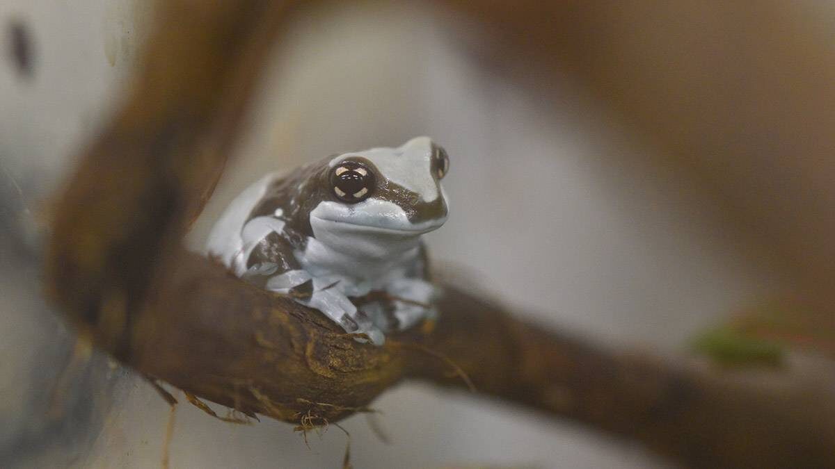    Фото: Александр Кожохин / Вечерняя Москва