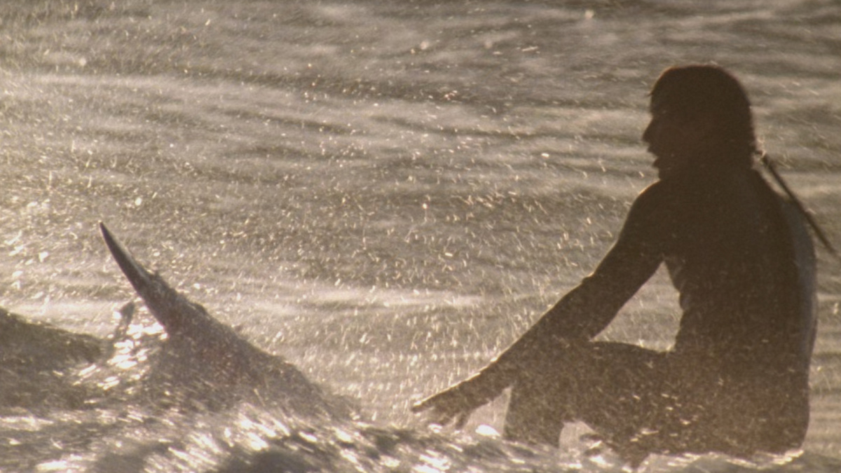 Кадр из фильма на "На гребне волны" (1991)