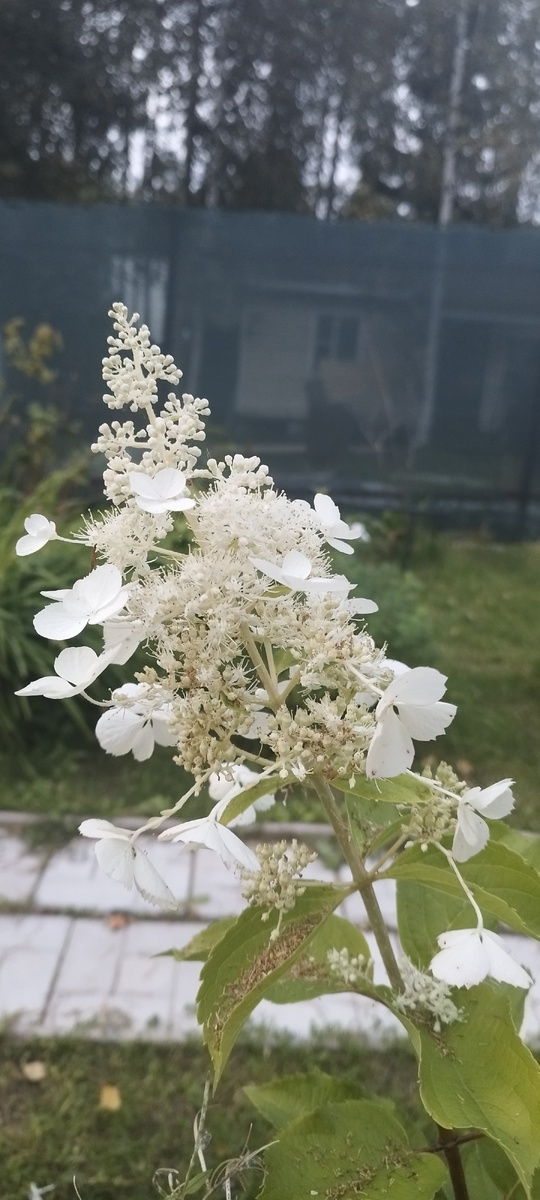 И немножко красотой полюбоваться. 