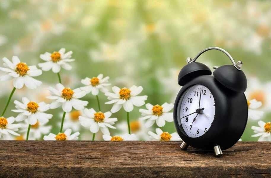 Всему своё время. Фото из интернета 