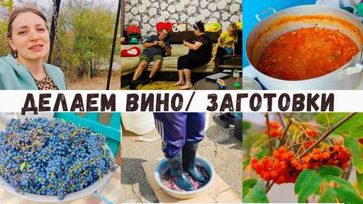 Вот как делают вино в селе 👍Дедушка поёт 🤣 Старая кухня/ Родители меня жалеют ❤️ Заготовки на зиму 🍅