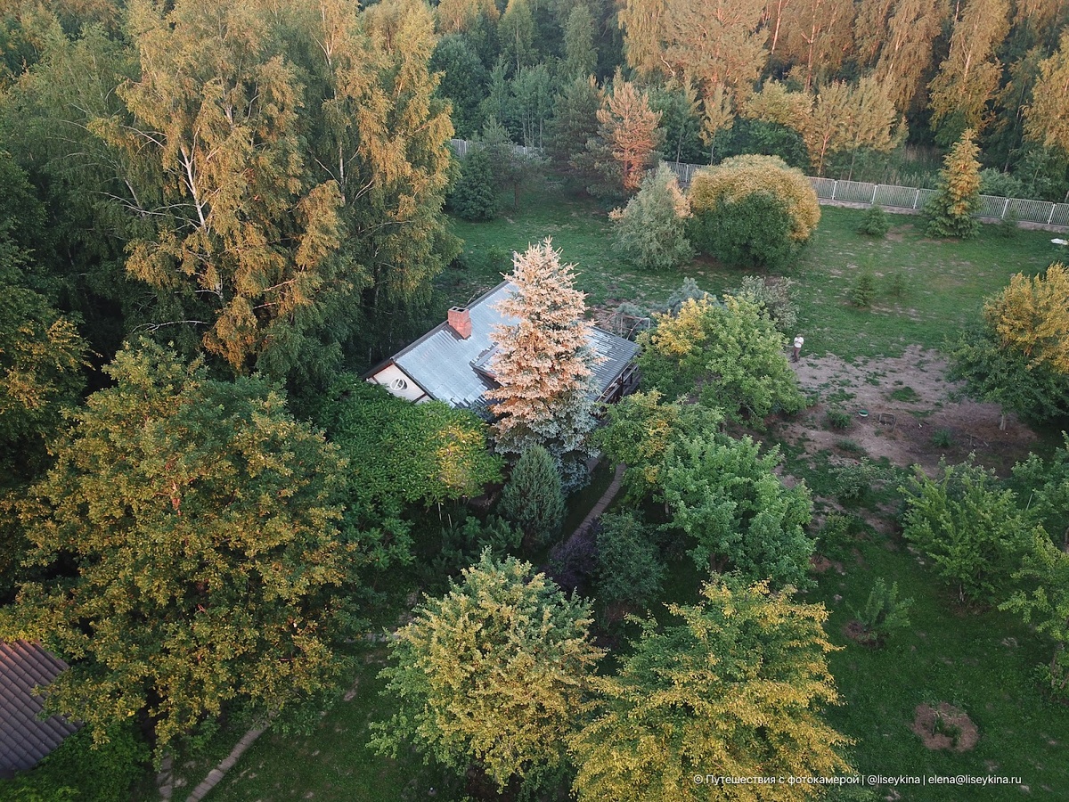 Как говорится, найди меня на фото. Тоже к вопросу о масштабе 