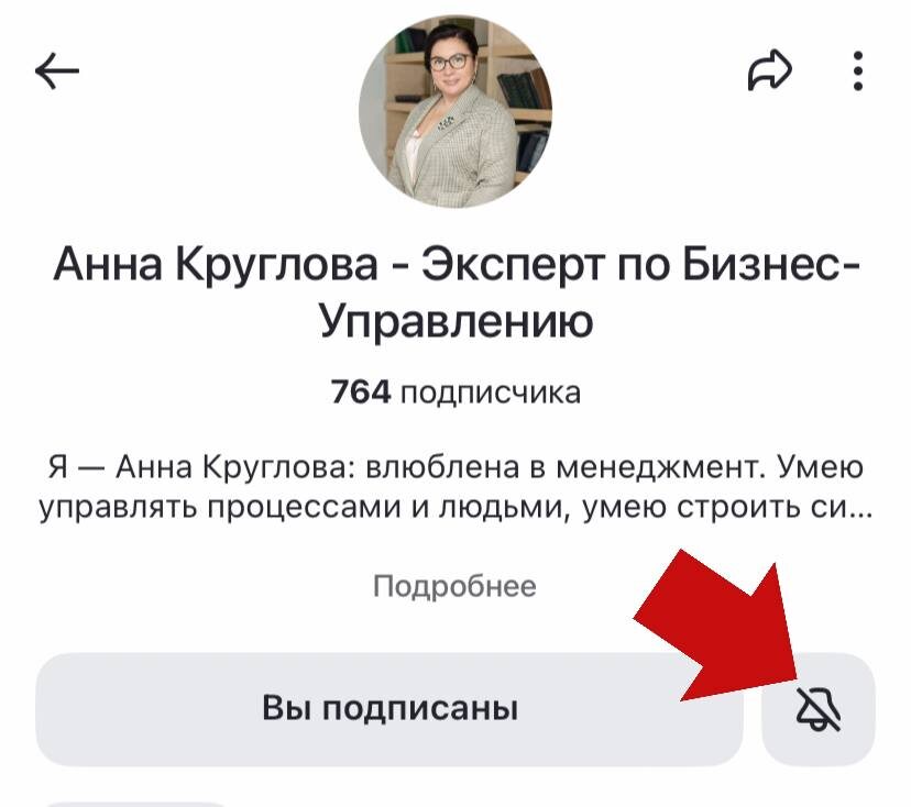 С уведомлениями увидеть новые статьи проще