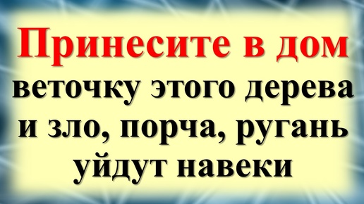 Скачать видео: Забытые знания: Какое дерево может очистить ваш дом от порчи и зла! Один метод защитит от сглаза и негатива.