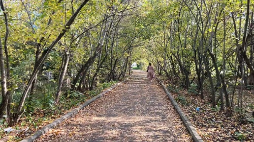 Прогулка через Боярышник, Эльфийский лес. 🍁2024