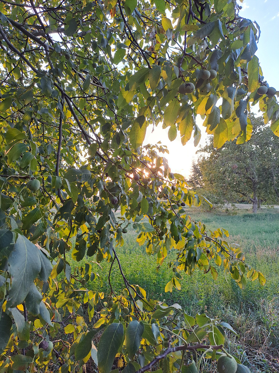 У нас ещё совсем лето