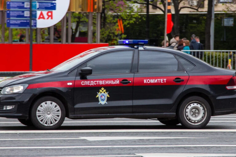    Фото: Общественная служба новостей Мария Шевцова