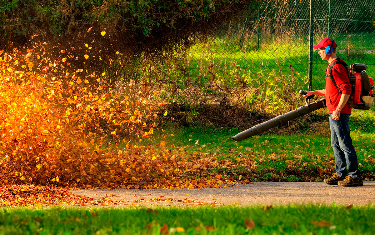 Воздуходувка упрощает уборку опавших листьев