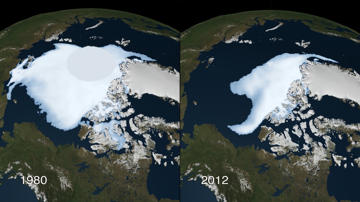 Сравнение общей площади ледников в 1980 году и в 2012 
Источник: NASA