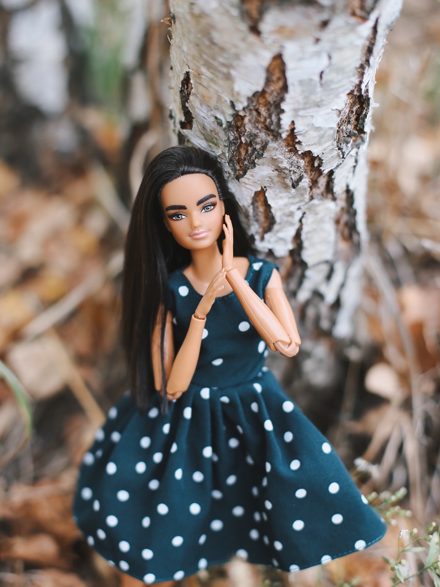Barbie BMR Дачница Мидж