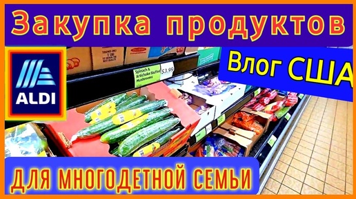 Закупка продуктов для многодетной семьи в США_Aldi_экономия_влог