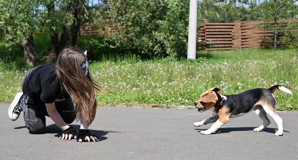    РИА «Новости»