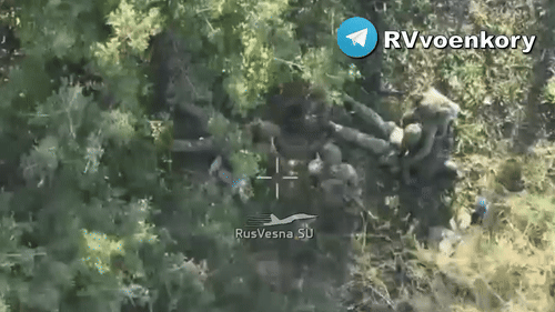    Русские десантники берут в плен украинских военных. Скрин с ТГ-канала "Крылатые"