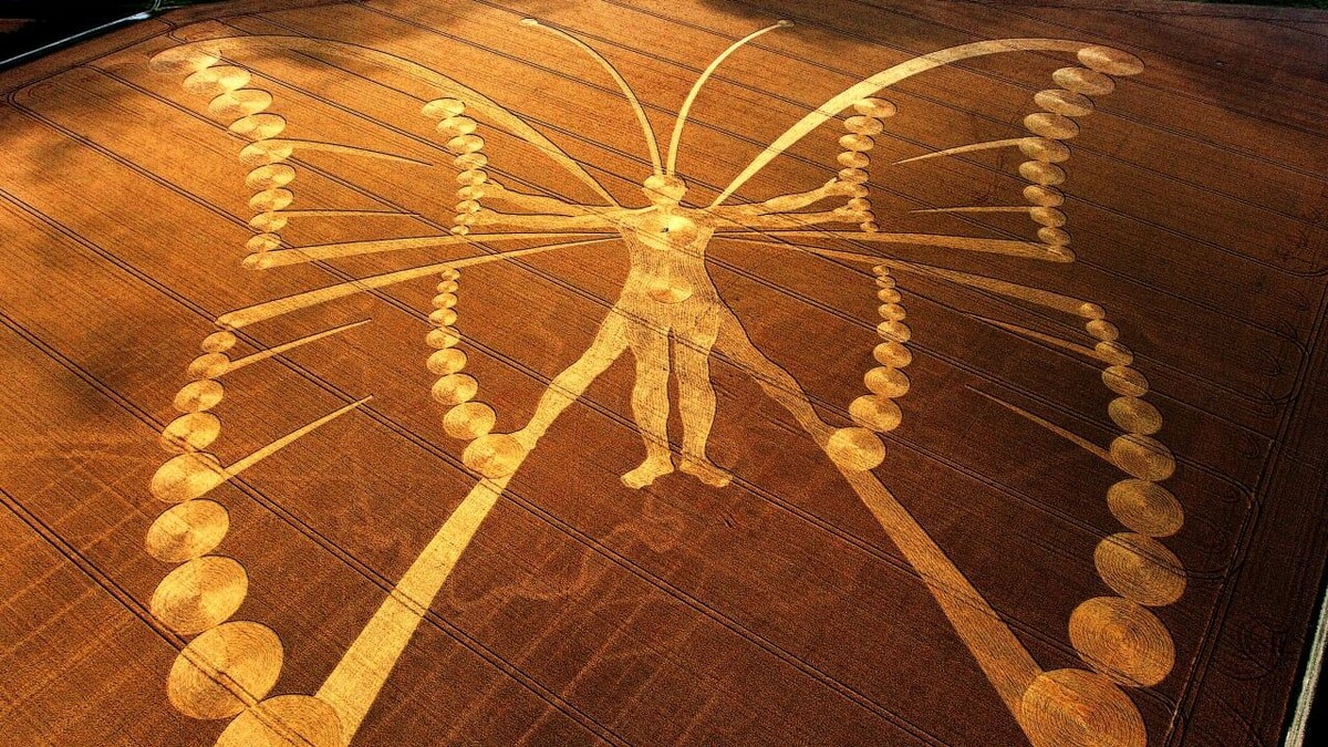 Загадка кругов на полях