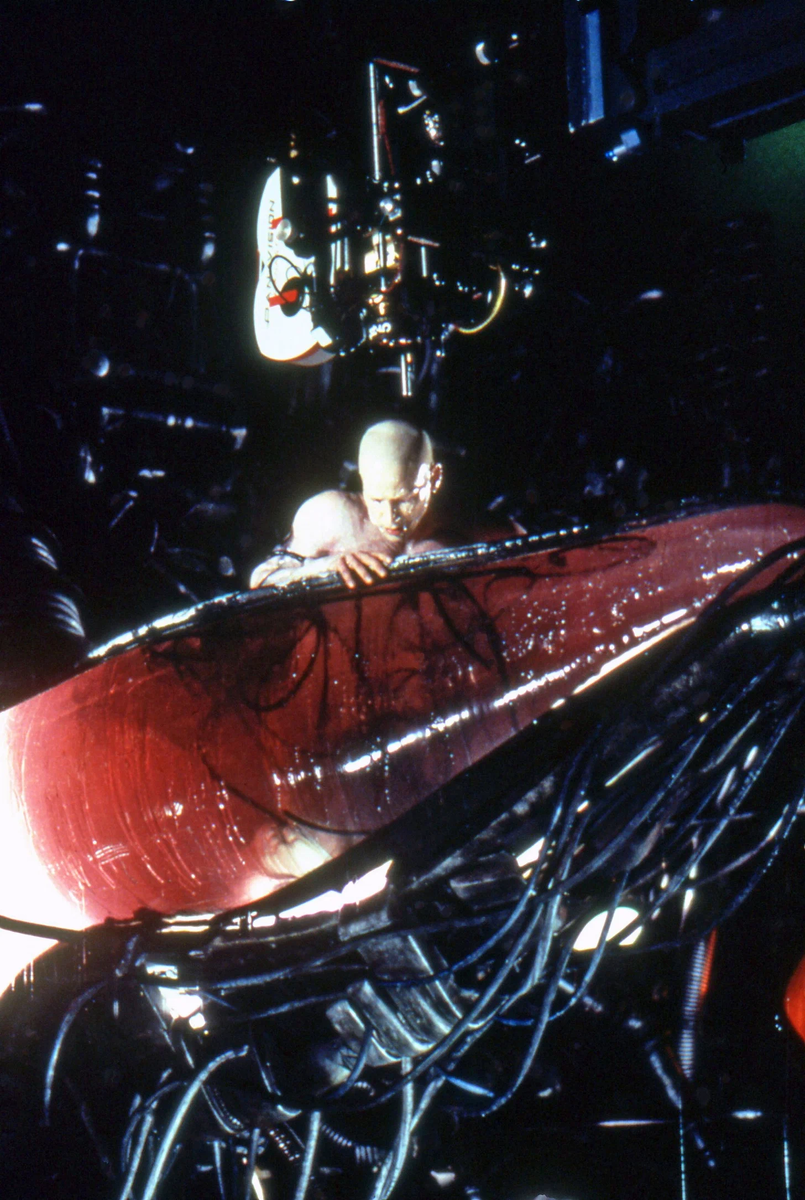 Яндекс.картинки. Матрица