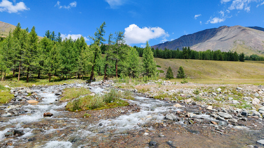 Дорога в Беляши (Джазатор). Красивая песня, безумно красивые реки