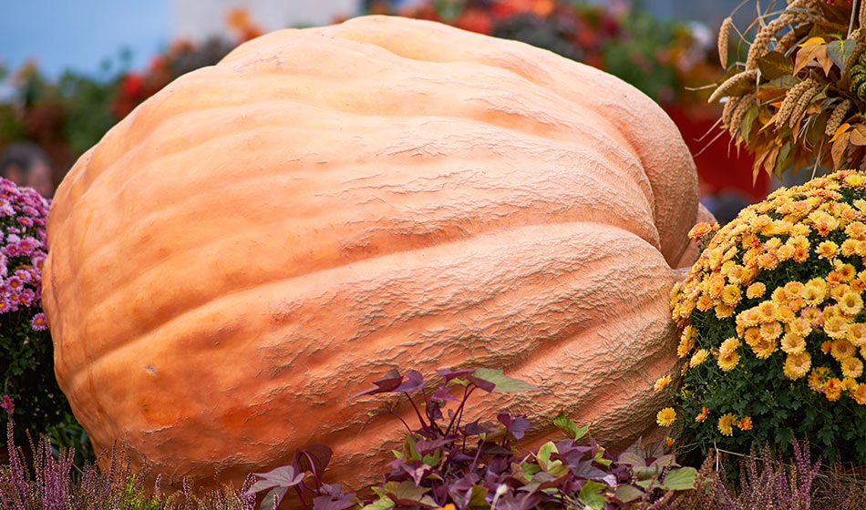 Фото: zhuravlevab © 123RF.COM 