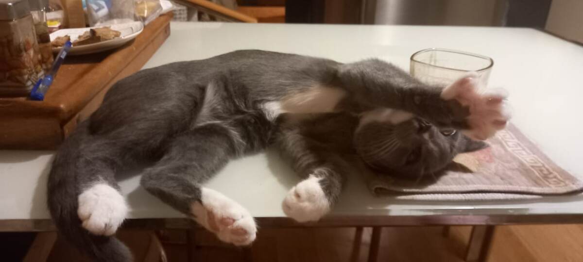 Восторги оставьте себе, у меня один недостаток чертовски крастффф и умён