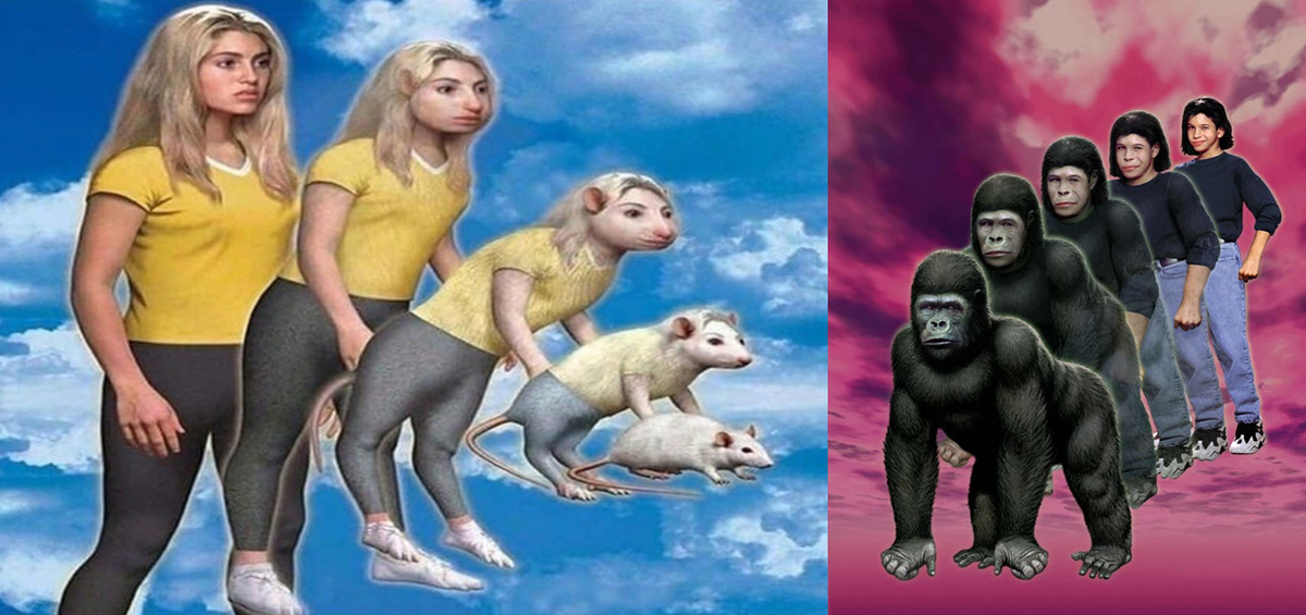 Будущее человеческого вида Homo Smartus (Человек Умный)