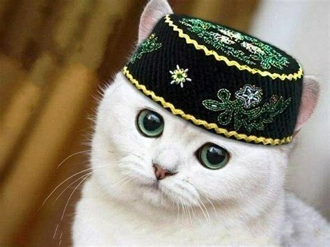 Алга, Казан!