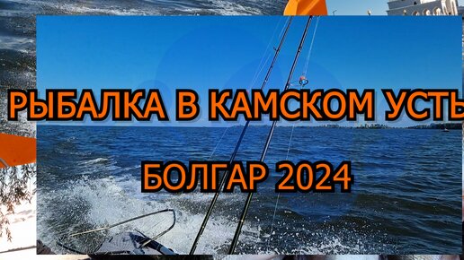 Рыбалка в Камском устье, город Болгар 2024