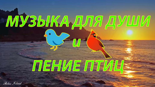 下载视频: 🐦 ДО СЛЁЗ НЕВЕРОЯТНО КРАСИВАЯ МУЗЫКА И ПЕНИЕ ПТИЦ! 🎵 ЭТУ МУЗЫКУ ДЛЯ МЕДИТАЦИИ И ЗВУКИ ПРИРОДЫ МОЖНО СЛУШАТЬ ВЕЧНО! 🎵 МУЗЫКА ДЛЯ ДУШИ!