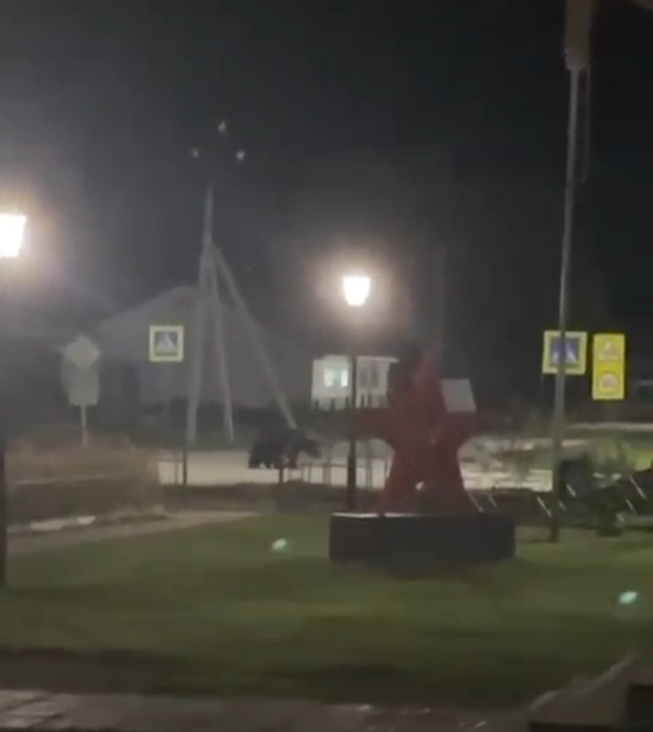    Медведицу с медвежонком заметили в центре югорского посёлка Куминский