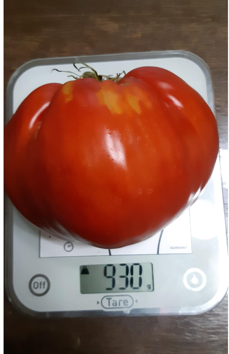 10.09.24 г помидор Альбенго-930 гр. Супер!