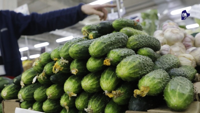      Фото: ИА «Победа26»