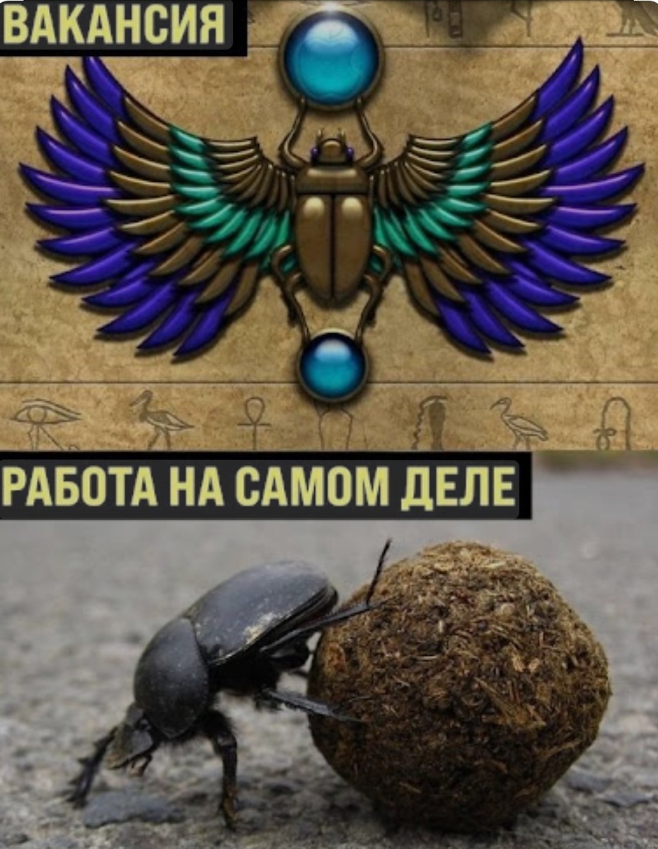 Фото с открытых источников.