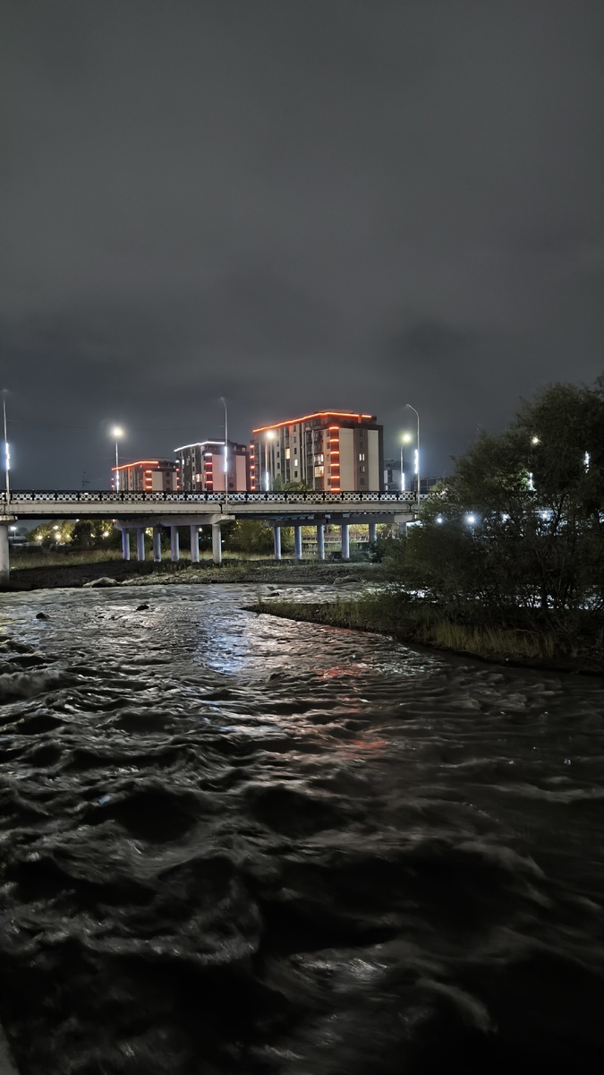 Чкаловский мост