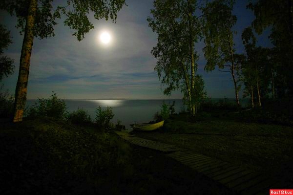 Фото взято из интернета, для создания настроения.