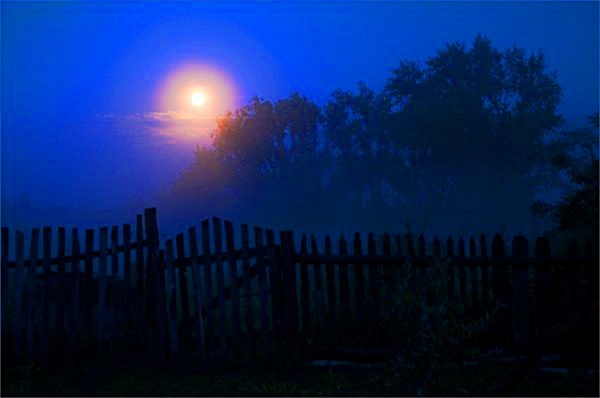 Фото взято из интернета.