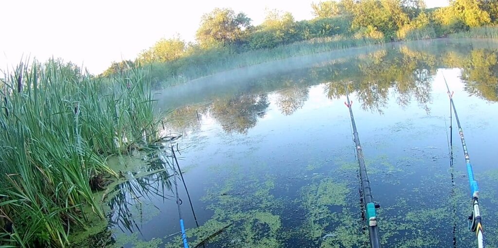 Рыбалка ранним утром.