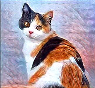 Говорят, что трехцветные кошки приносят счастье. 