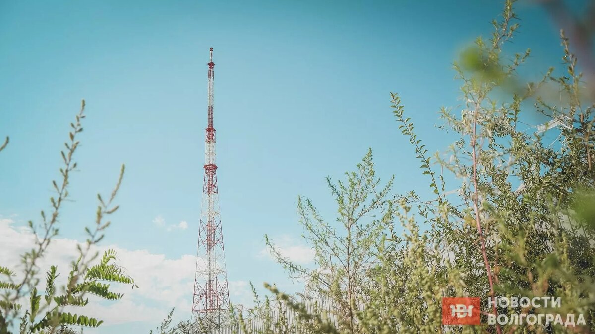     Источник: novostivolgograda.ru