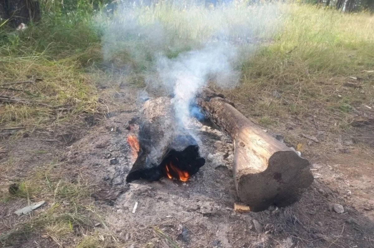    В Югре лесничие предотвратили возгорание тайги