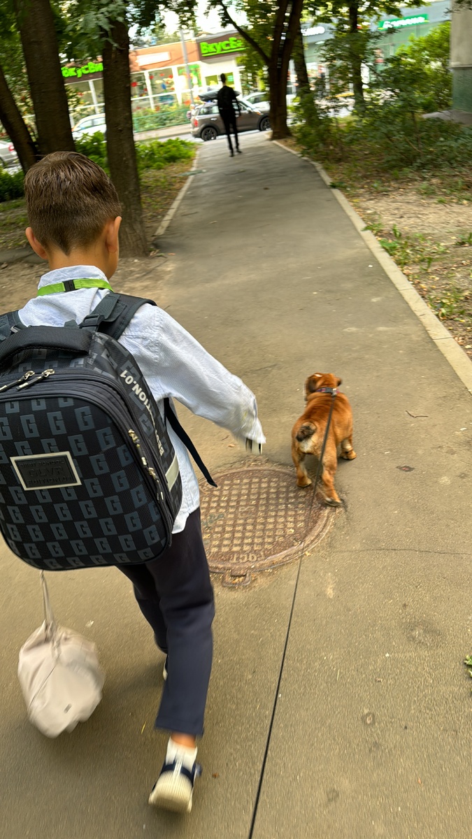 Ваня в школу просыпается тяжело