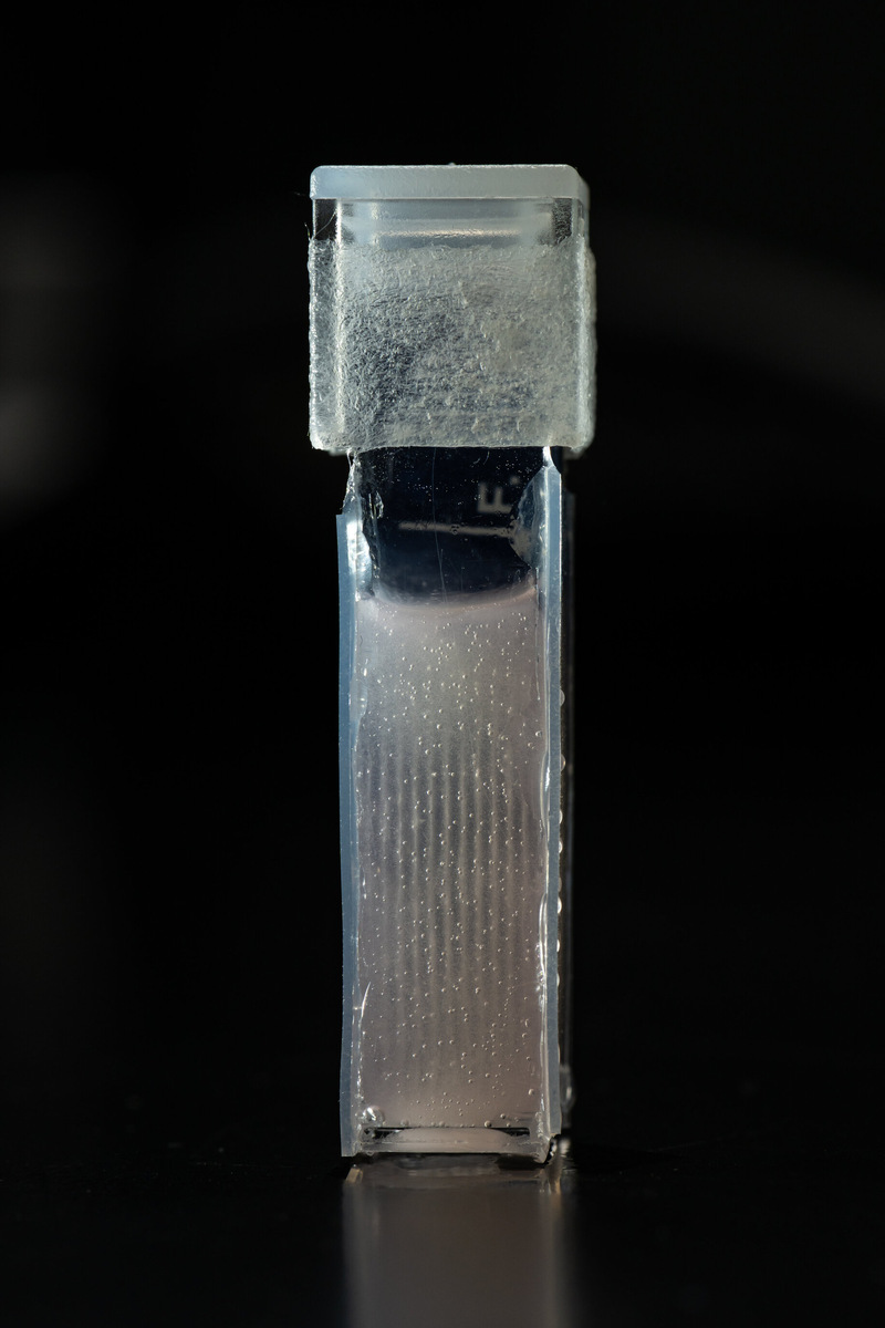    University of Rochester / J. Adam Fenster