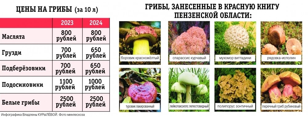    Фото:  АиФ/ Владлена Курылева